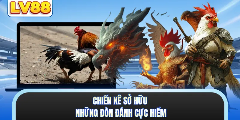 Chiến kê sở hữu những đòn đánh cực hiểm