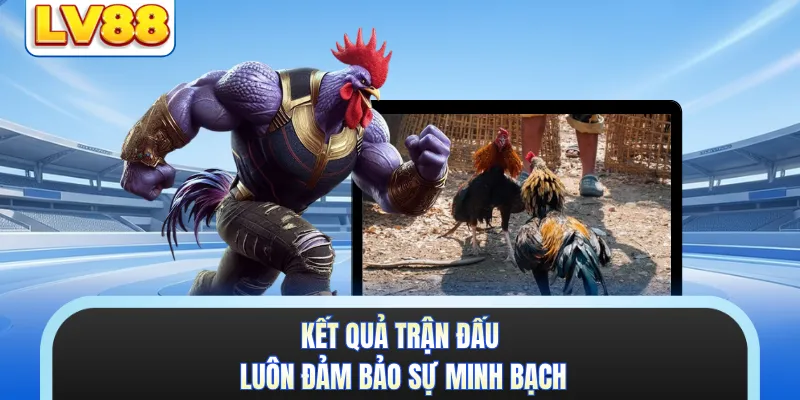 Kết quả trận đấu luôn đảm bảo sự minh bạch