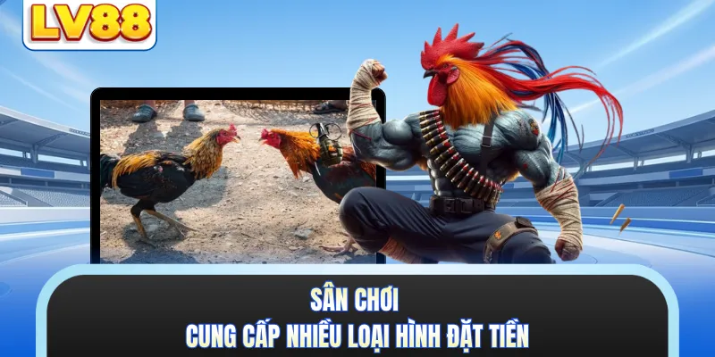 Sân chơi cung cấp nhiều loại hình đặt tiền